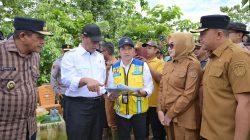 Mentan Amran Sulaimam Tinjau  Persawahan Amohalo Terendam Banjir