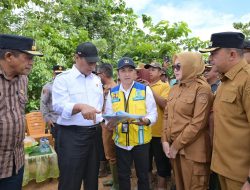 Mentan Amran Sulaimam Tinjau  Persawahan Amohalo Terendam Banjir