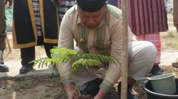 Bupati Busel Tanam 150 Bibit Flamboyan, Desa Tangguh Bencana